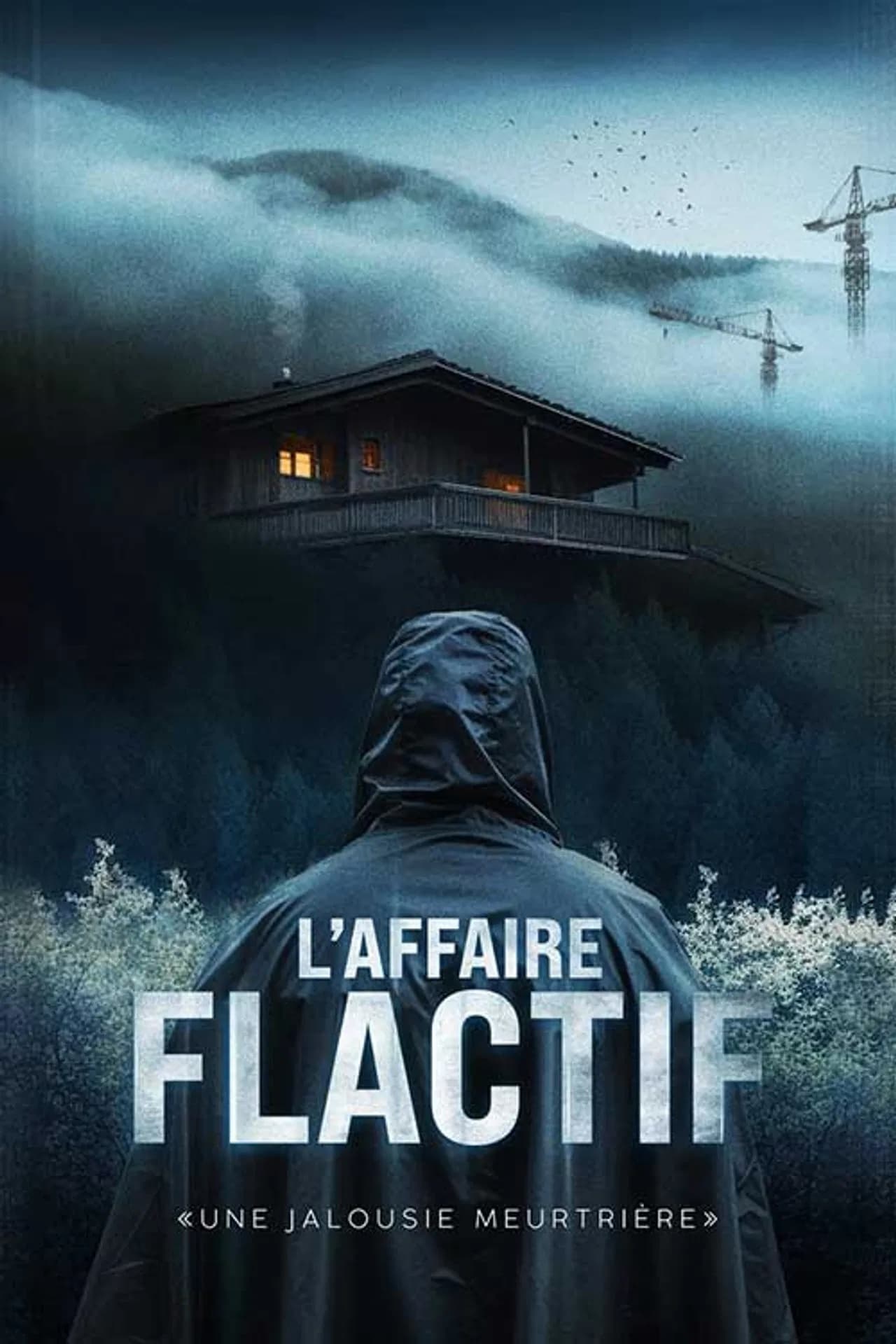 Affiche de L'affaire Flactif — Documentaire